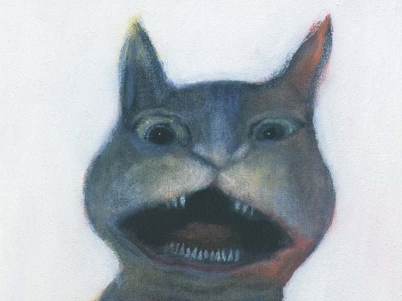 Fínske pocity v Bratislave