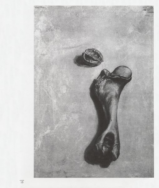 Čas, ktorý som žil - 2