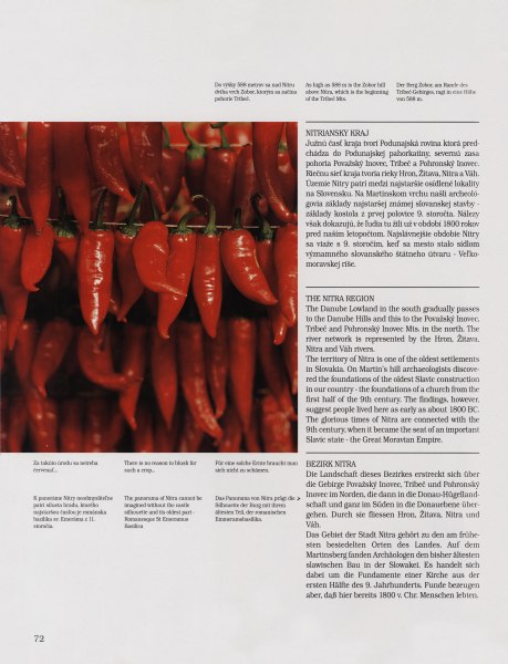 Slovenská republika - 3