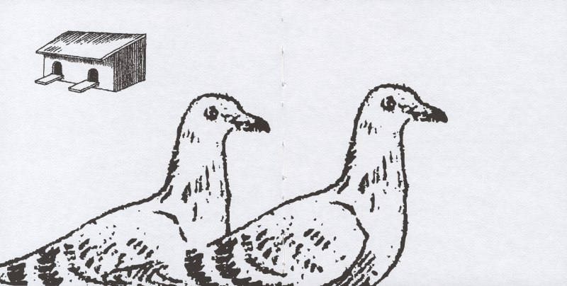 Majster Mu a ženské hlasy - 3