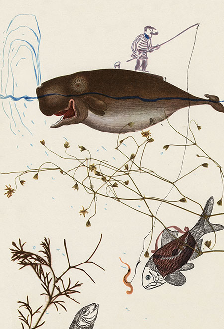 Frido, fall nicht runter - 3