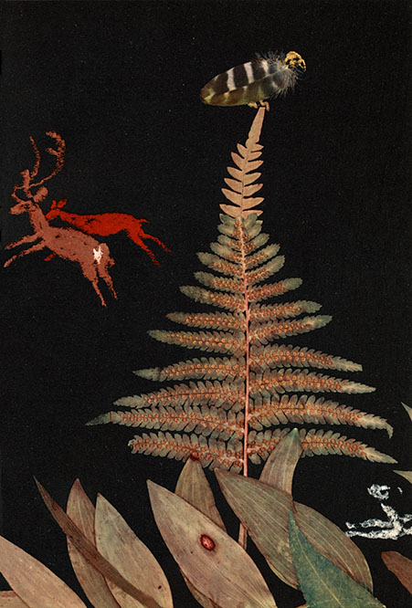 Frido, fall nicht runter - 4