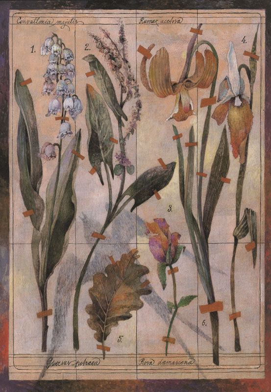 Rozprávky Hansa Christiana Andersena - 4