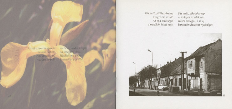 Šamorínske verše - 4