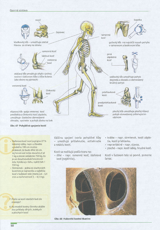 Biológia a starostlivosť o zdravie - 3