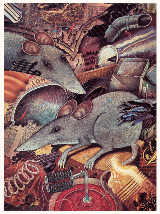 Die Aludose und die leisen Lieder - 3