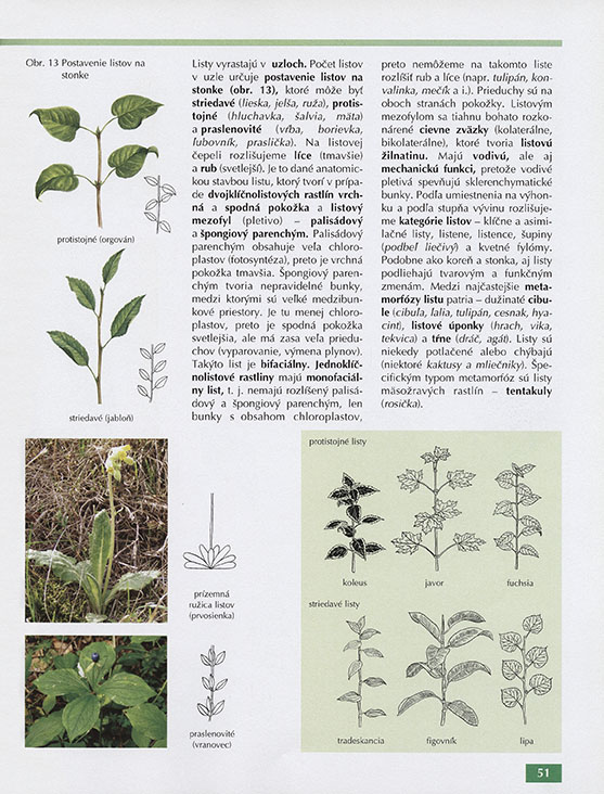 Biológia pre gymnáziá - 3
