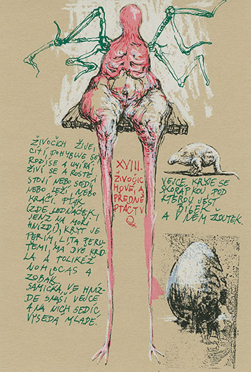 Orbis sensualium pictus - 3