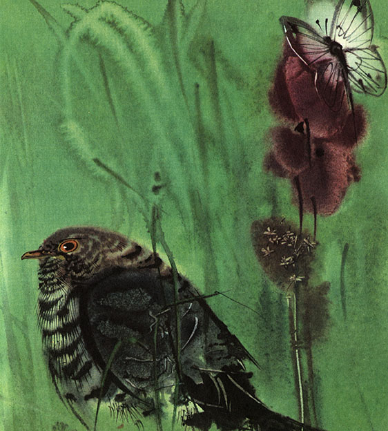 Rozprávky z lesa - 4