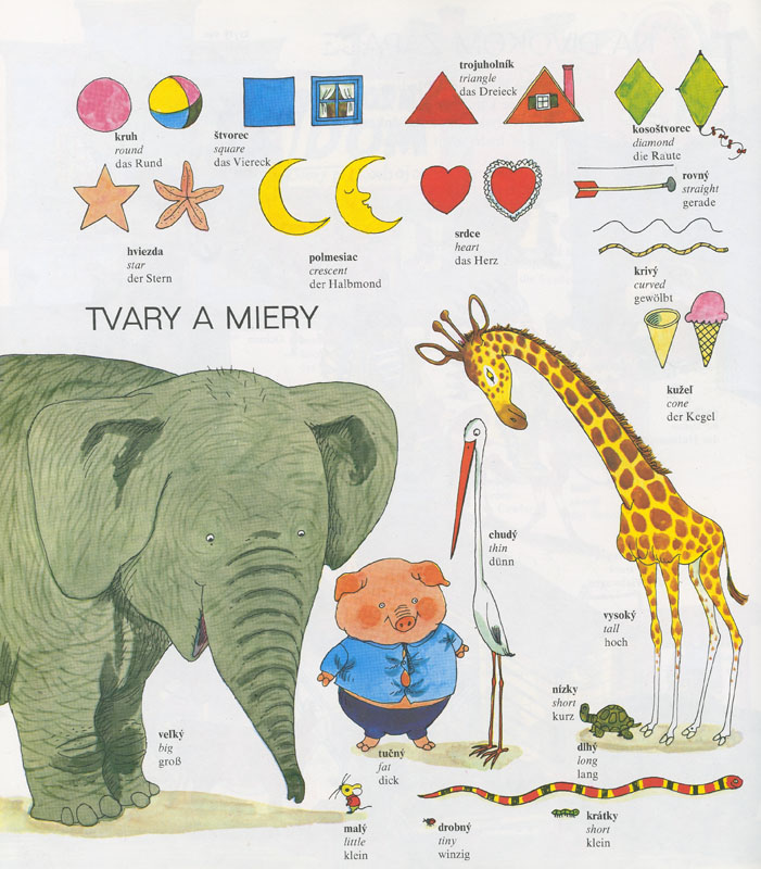 Veľký obrázkový slovník slovensko-anglicko-nemecký - 3