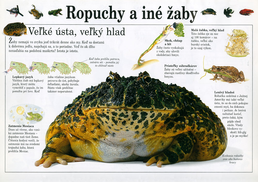 Nevšedný kalendár 1993 - 3