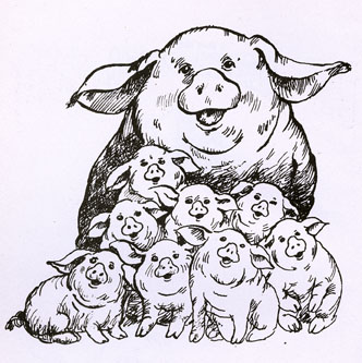 Pretekárske prasiatko - 2