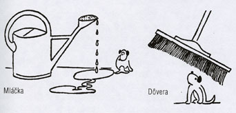 Dašenka alebo život šteniatka - 2