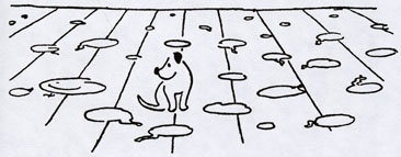 Dašenka alebo život šteniatka - 4