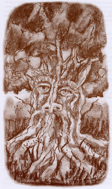 Kicsi, kisebb, legkisebb - 2