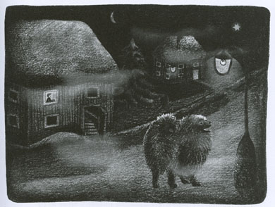 Pes, ktorý bežal za hviezdou, a červený bicykel - 3