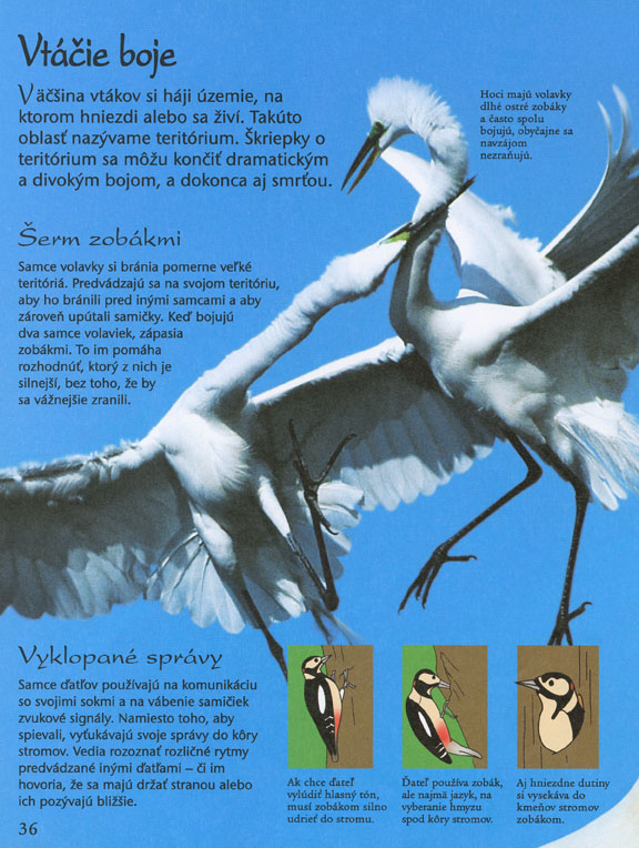 Záhady a zázraky prírody - 3