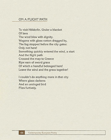 Cranberry in ice - 4