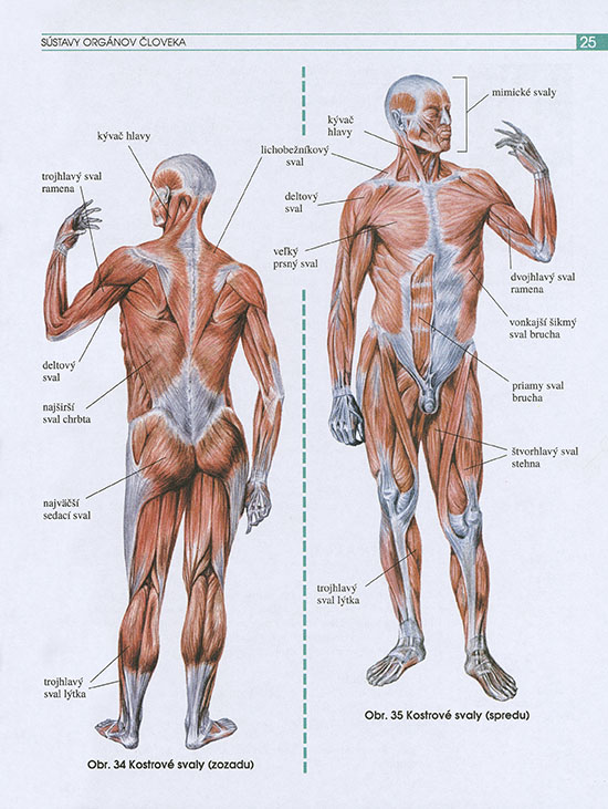 Prírodopis pre 7. ročník základných škôl - 3