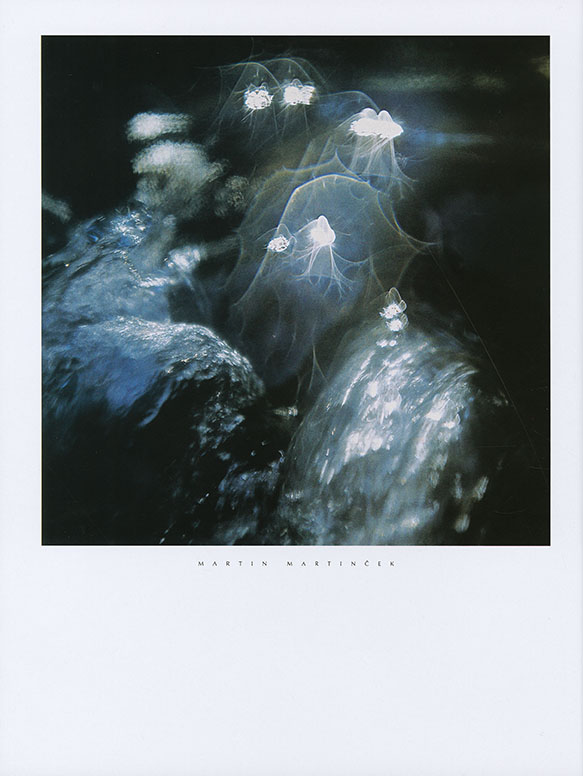 Martin Martinček - 2