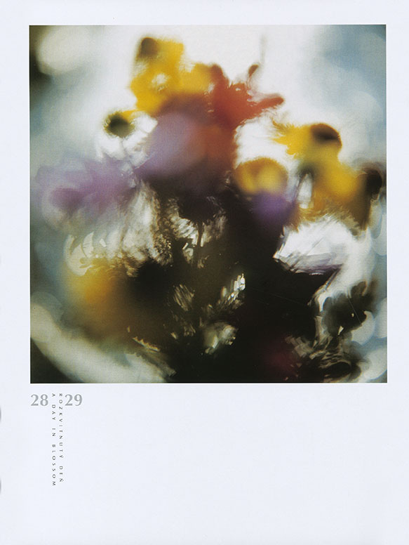 Martin Martinček - 4