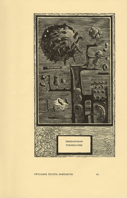 Vývojopis života svetobytu - 2