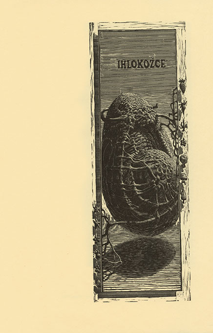 Vývojopis života svetobytu - 3