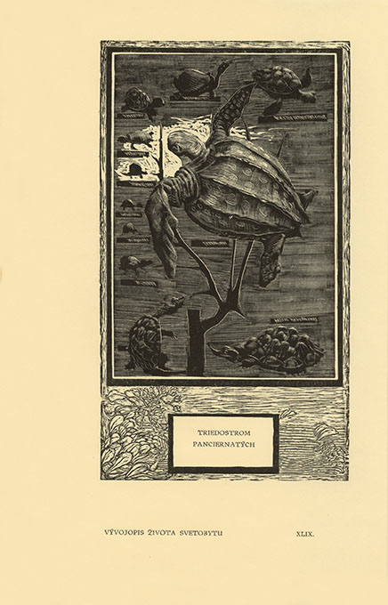 Vývojopis života svetobytu - 4