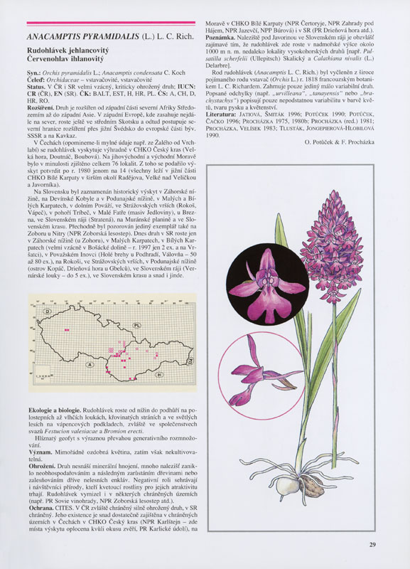 Červená kniha ohrozených a vzácnych druhov rastlín a živočíchov SR a ČR - 2