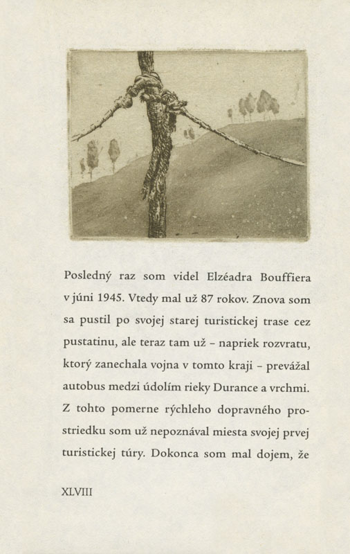 Muž, ktorý sadil stromy - 4