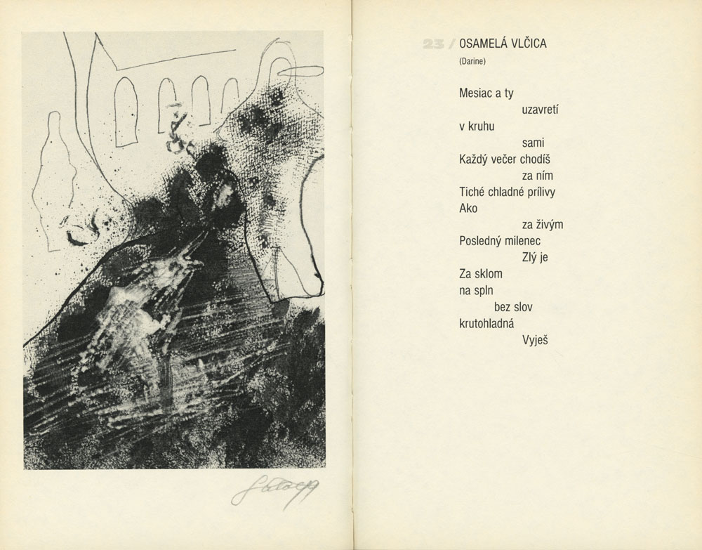 Milujem túlavých psov - 3