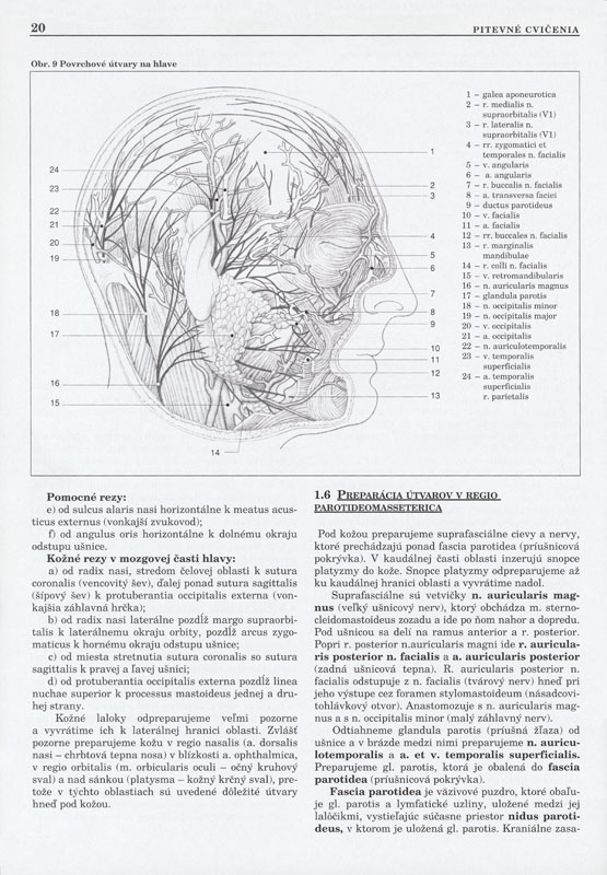 Pitevné cvičenia - 2
