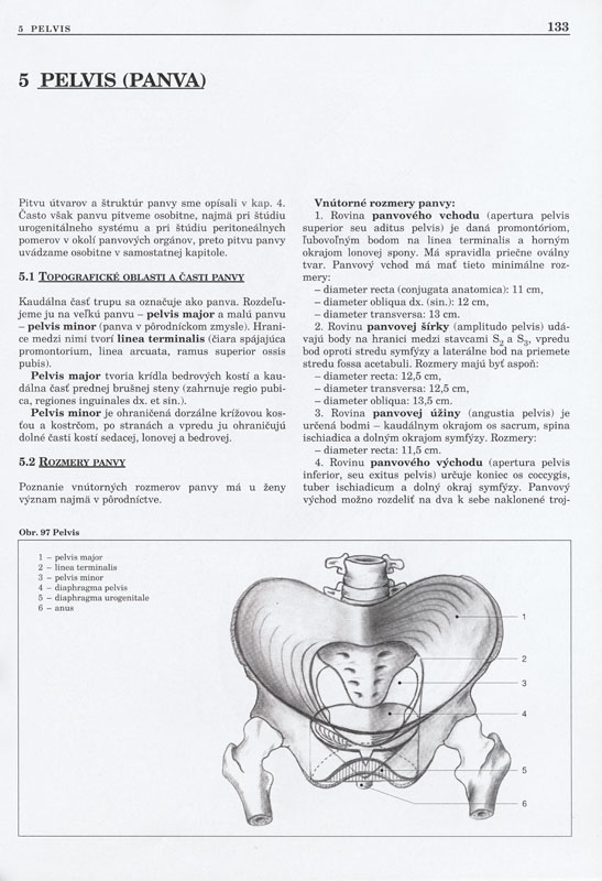 Pitevné cvičenia - 4