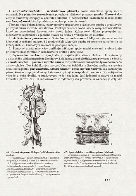 Anatómia hospodárskych zvierat - 3