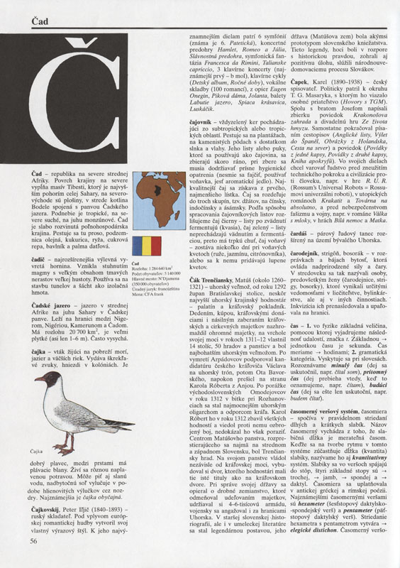 Školský lexikón - 2