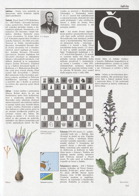 Školský lexikón - 4