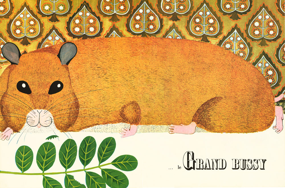 Bussy le hamster doré - 2