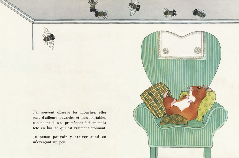 Bussy le hamster doré - 3