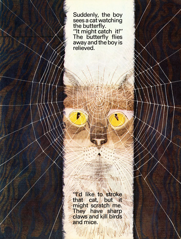 The spider's web - 2