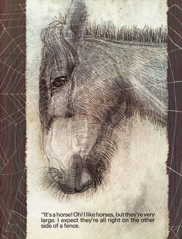 The spider's web - 4