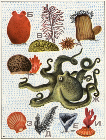 Po morjam vokrug zemli - 3