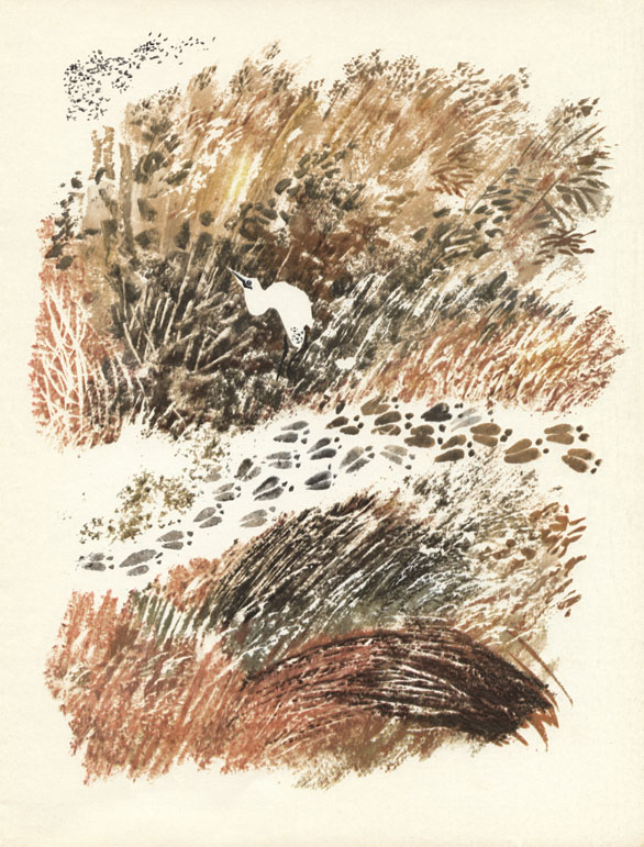 Putešestvije k pelikanam - 3