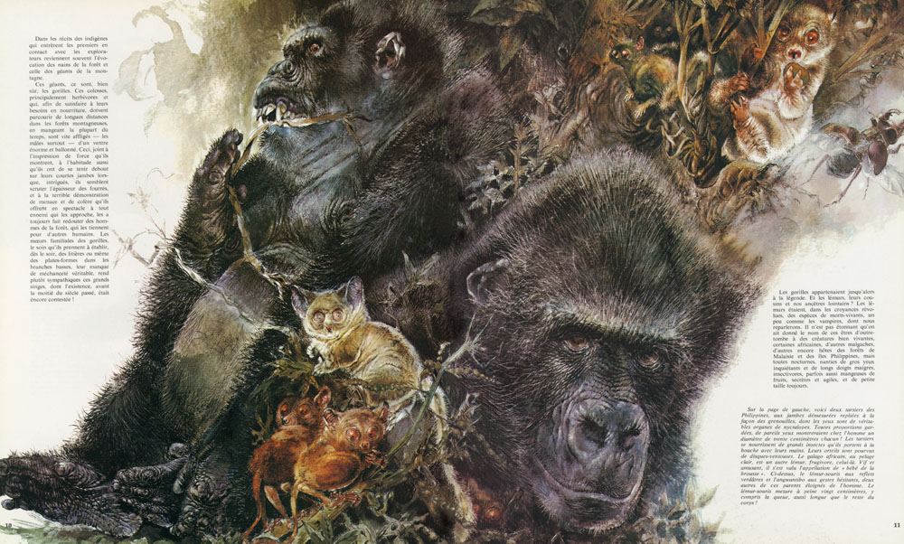 Bestiaire insolite - 2