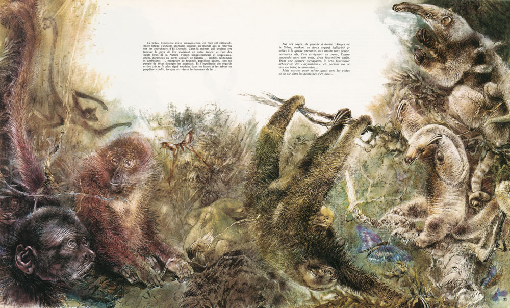 Bestiaire insolite - 3