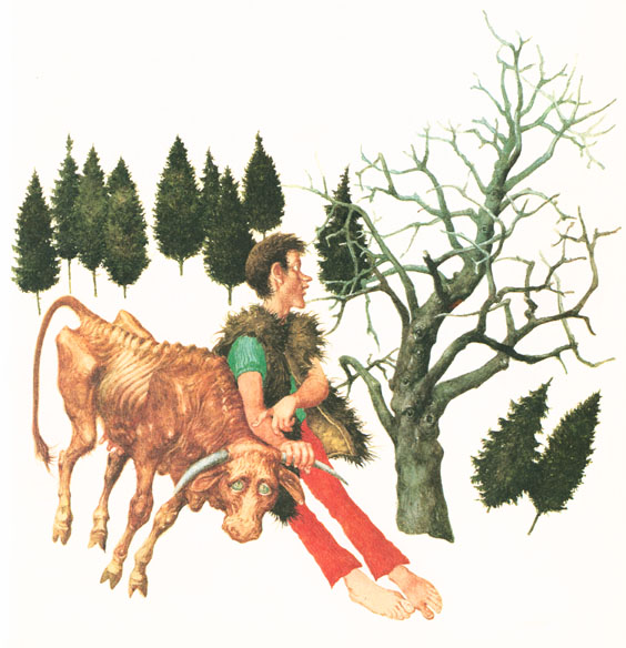 Koza rohatá a jež - 3