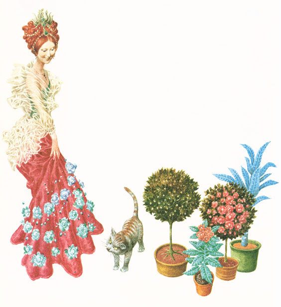 Koza rohatá a jež - 4