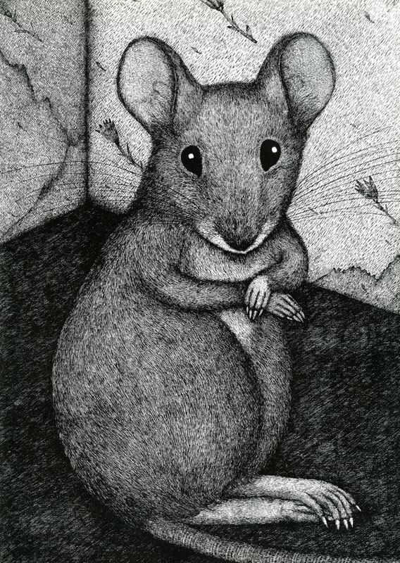 Selina, Pumpernickel und die Katze Flora - 3