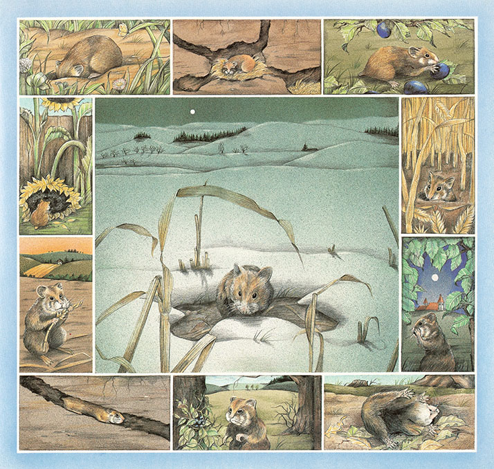 Wir schlafen, bis der Frühling kommt - 2