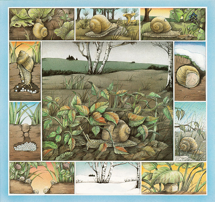 Wir schlafen, bis der Frühling kommt - 3