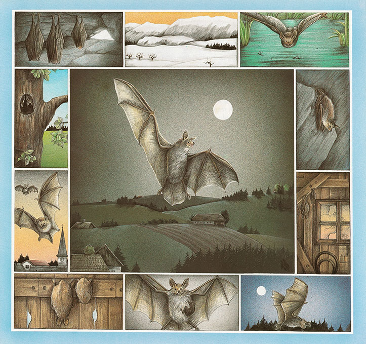 Wir schlafen, bis der Frühling kommt - 4